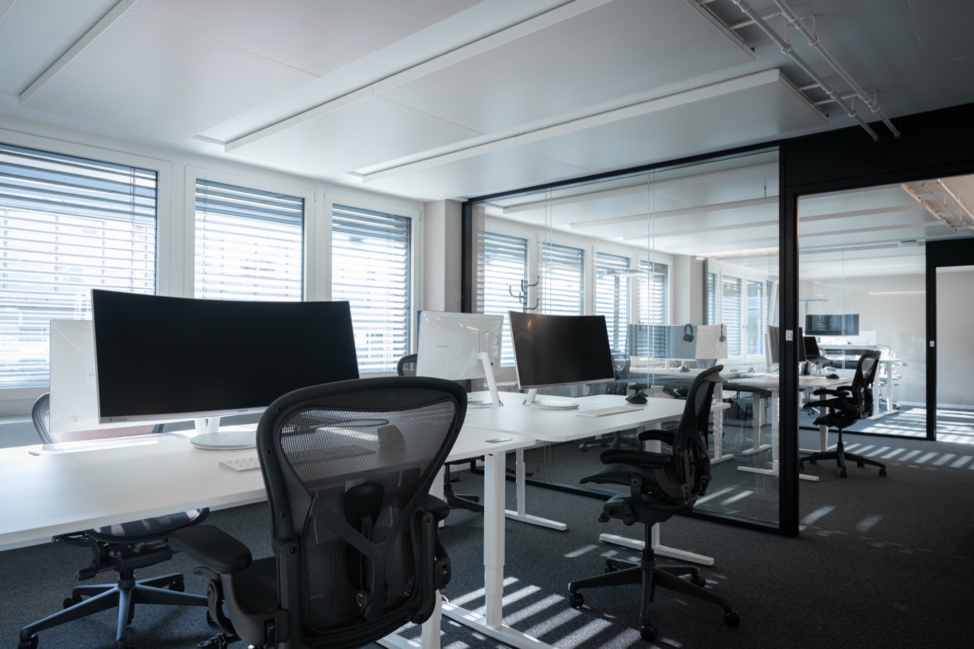 Arbeitsplätze mit Curved-Bildschirmen und höhenverstellbaren Tischen im Büro von ALPINUM in Zürich